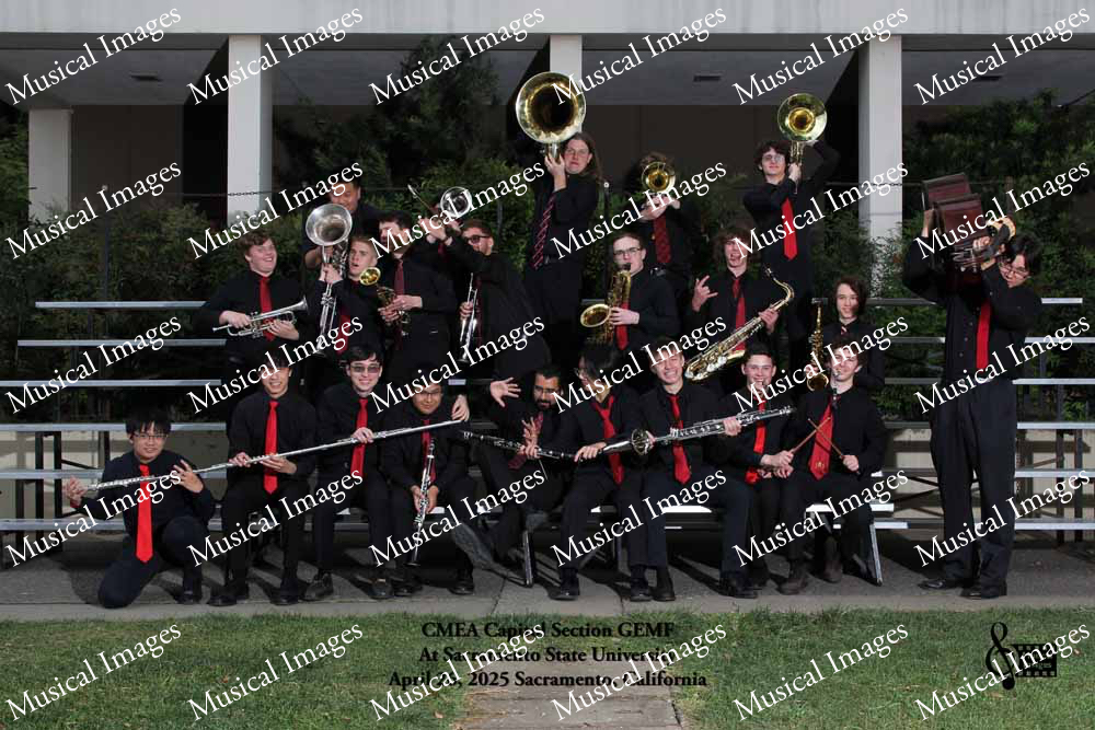 Musical Images
